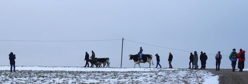 Sonntagsspaziergang